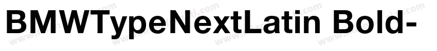 BMWTypeNextLatin Bold字体转换